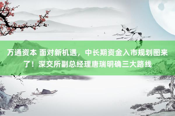 万通资本 面对新机遇，中长期资金入市规划图来了！深交所副总经理唐瑞明确三大路线