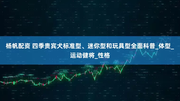杨帆配资 四季贵宾犬标准型、迷你型和玩具型全面科普_体型_运动健将_性格