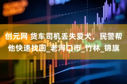 创元网 货车司机丢失爱犬，民警帮他快速找回_老河口市_竹林_锦旗
