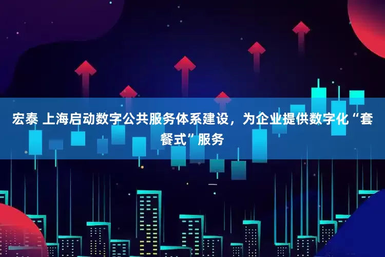 宏泰 上海启动数字公共服务体系建设，为企业提供数字化“套餐式”服务
