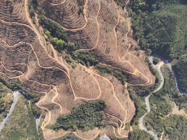 MOM操盘网 南粤大地流淌绿色基因