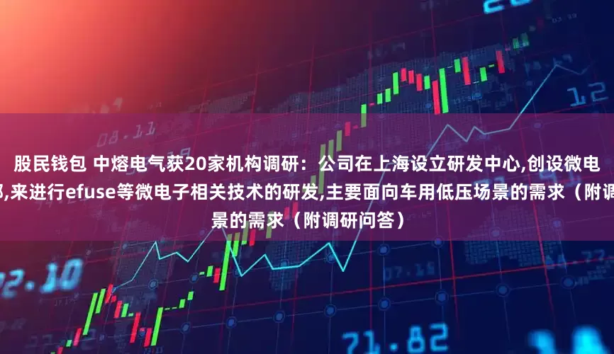 股民钱包 中熔电气获20家机构调研：公司在上海设立研发中心,创设微电子事业部,来进行efuse等微电子相关技术的研发,主要面向车用低压场景的需求（附调研问答）